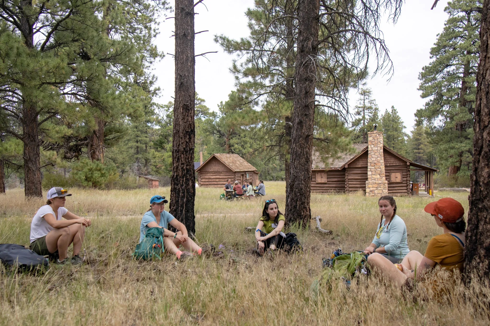 Five people sit in a circle under pine trees.