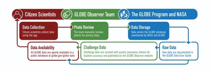 The process used to prepare curated GLOBE Observer challenge data includes data collection, initial photo review, and quality assurance checks. Curate data are made available on the GLOBE Observer website at https://observer.globe.gov/get-data/.