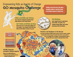 Screenshot of GO Mosquito Challenge infographic