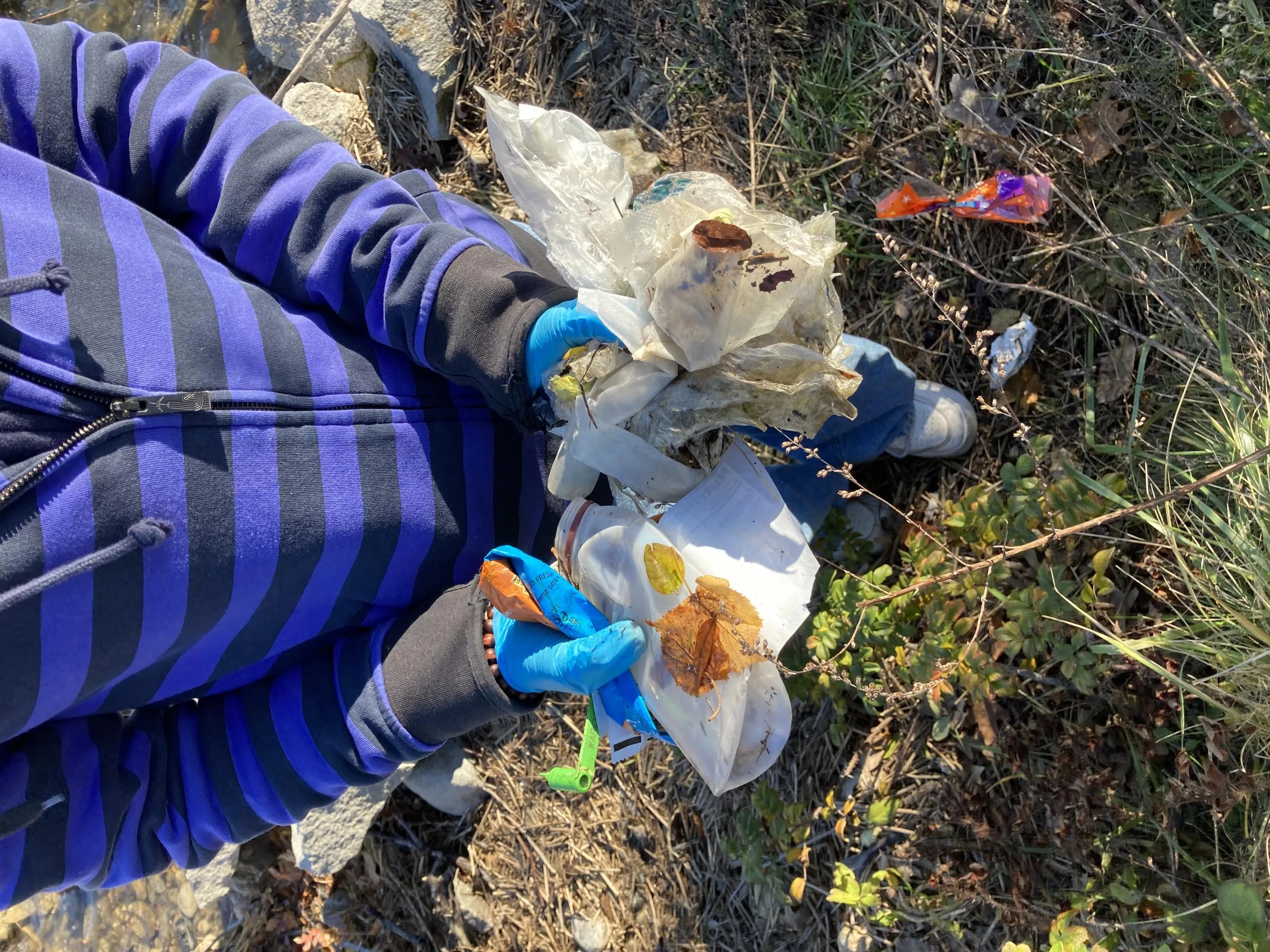 Photo of the forearms and hands of a student wearing blue safety gloves, holding a variety of ocean debris such as plastic food wrappers and a plastic water bottle, while standing outside in the grass near the water.