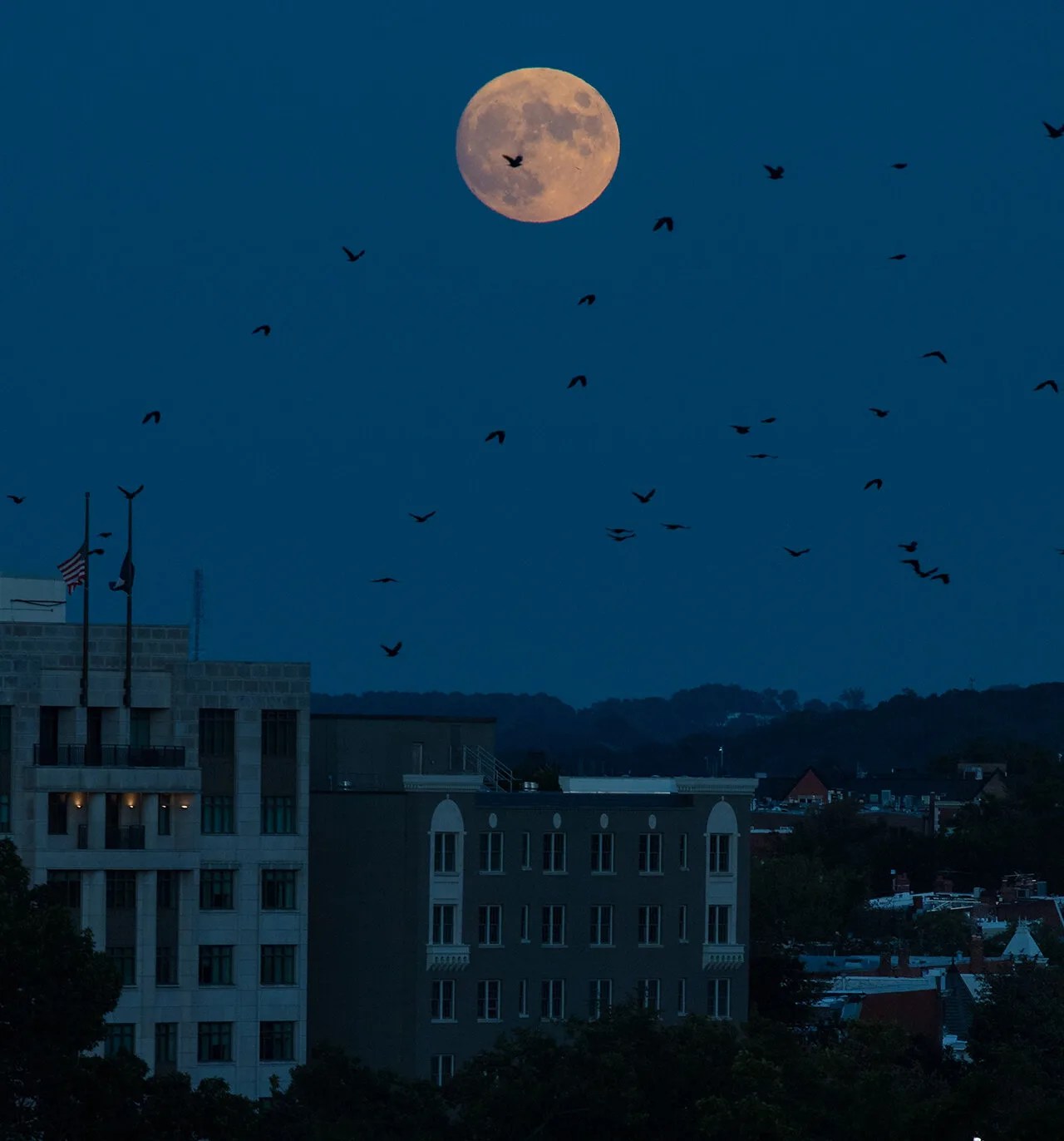 Image of Moonrise over Washington