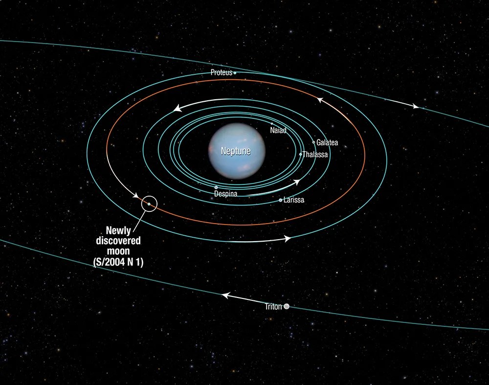 Orbit diagram showing several Neptune moons.
