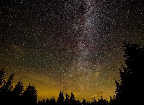 Perseid Meteor Shower