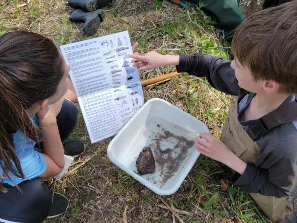 Student comparing macroinvertebrate they found with a picture chart.