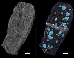 This image shows an example of the high-resolution X-ray computed tomography data that can be acquired at the University of Texas High-Resolution X-ray CT Facility.