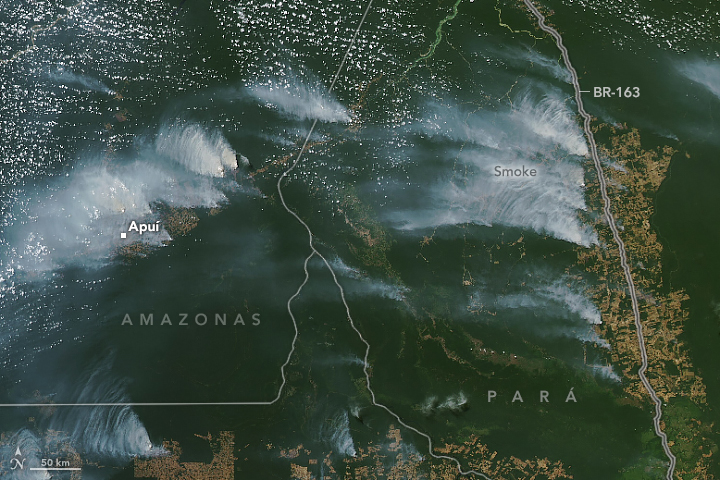 The dark green landscape of the Amazon is interrupted by patches of light brown along the bottom and right side of the image. There is also some light brown patching diagonally in the top left. A smoky haze emanates from each of these regions.