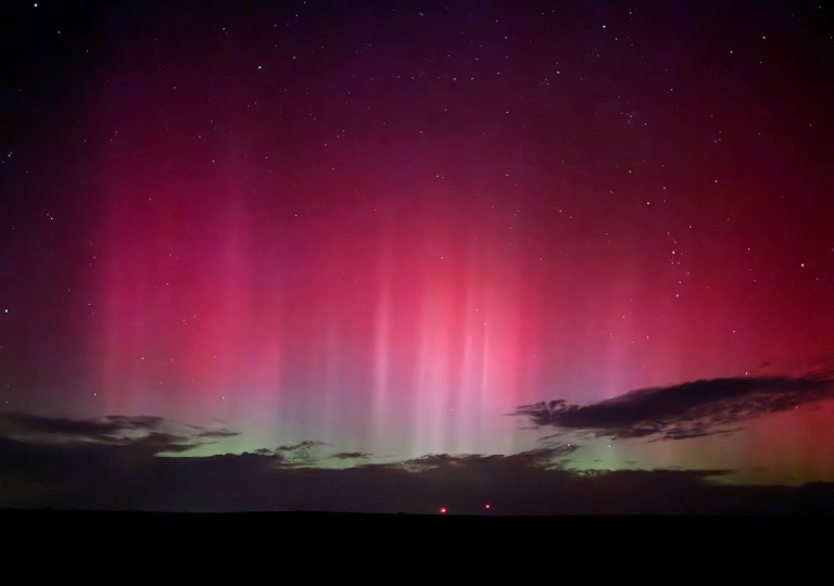 Colorful, pink and green glowing bands fill the sky above a desert mountain range.