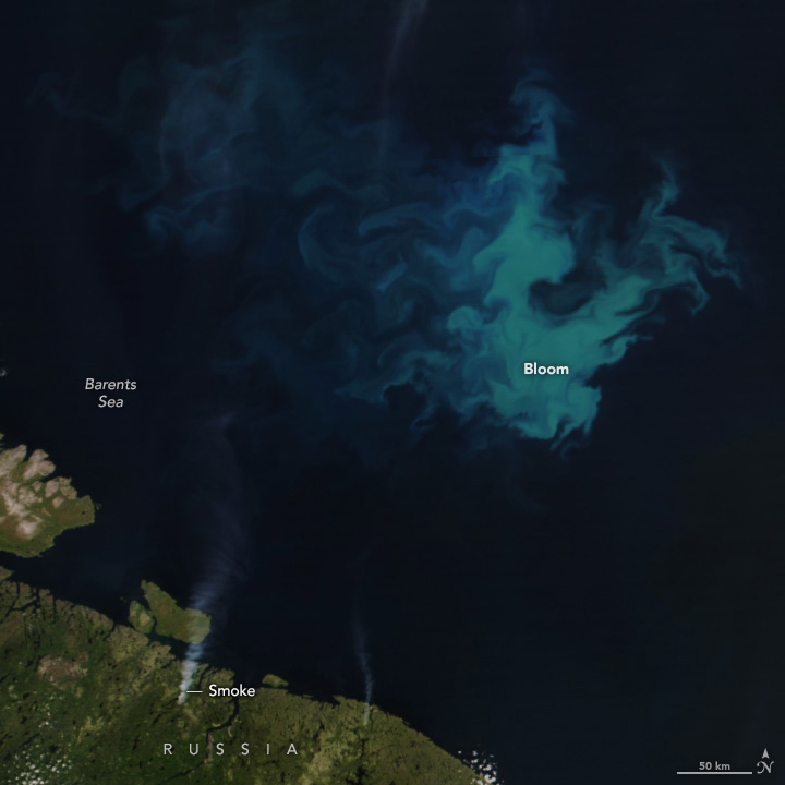 Green coastline is visible in the lower left corner with dark blue ocean waters filling the majority of the image. Amid the dark blue waters is a cloud of light blue-green water, the lightest section in the center right, the coloration eddies off and disperses toward the upper left.