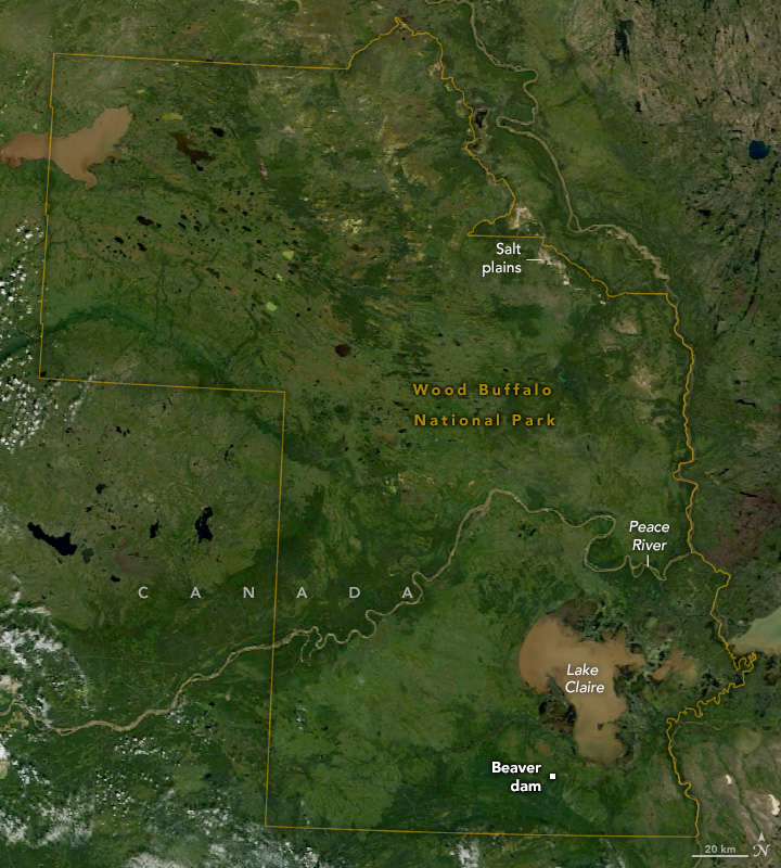 Satellite image of forested land. in the lower right a brown water Lake Claire exists, The peace river in the lower middled meanders from the lower middle right to the lower left another unnamed brown water lake exists in the top left. Other bodies of water appear, also largely in the upper left, scattered and much smaller, but also appear extremely dark in color