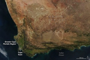 Thousands of endemic plant species flourish in one of the planet’s hottest biodiversity hotspots.