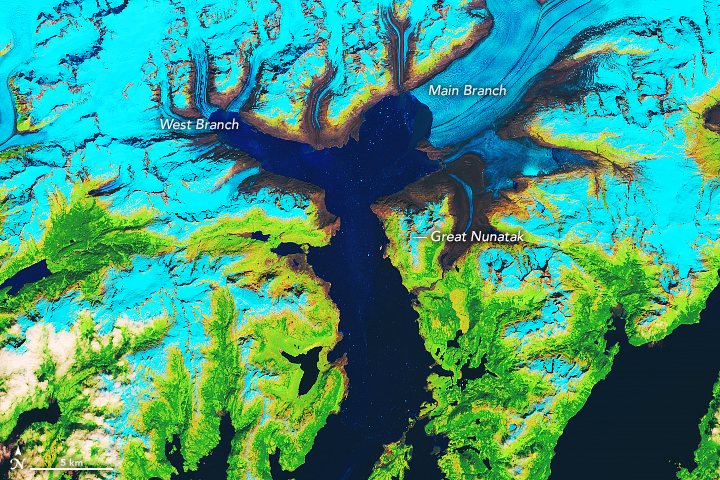 One branch of Alaska’s Columbia Glacier seems to have retreated as far as it can, while the other still has some distance to go.