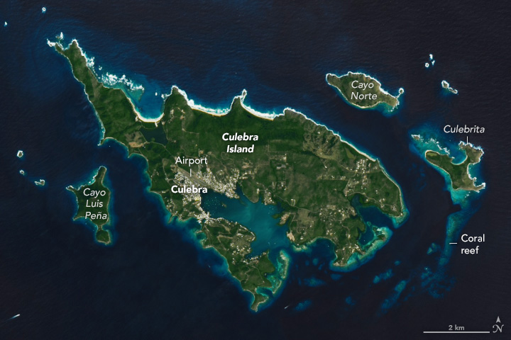 The satellite image centers Culebra Island surrounded by deep blue ocean. there are three significantly sized surrounding islands one to the center left of the image, two to the right, positioned at the center and upper portion of the image. The two islands to the right extend a coral reef that wraps around the shape of the island at a relatively consistent distance from the shore. The island itself shows one major outpost of civilization centered at the end of the mouth of the bay.