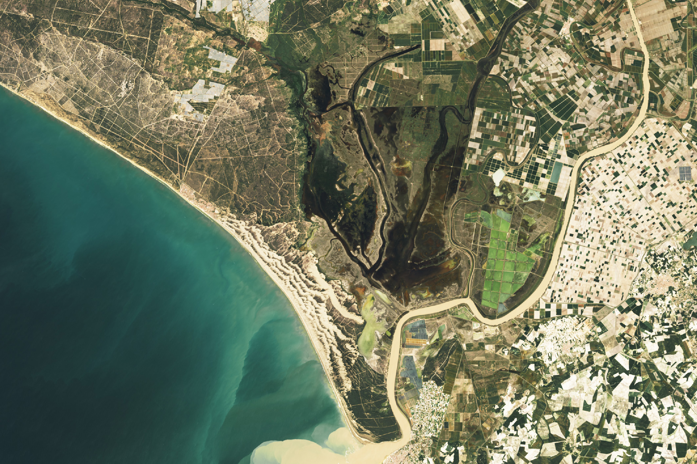 satellite photo of coastal landscape with blue green water in the lower left. in the top left seems to be more arid regions. along the top and right are grids of farmland. A river starts at the top right and empties into the edge or the large body of water contributing significant tan colored eddies or turbidity, centering in the image is dark colored swampy wetland