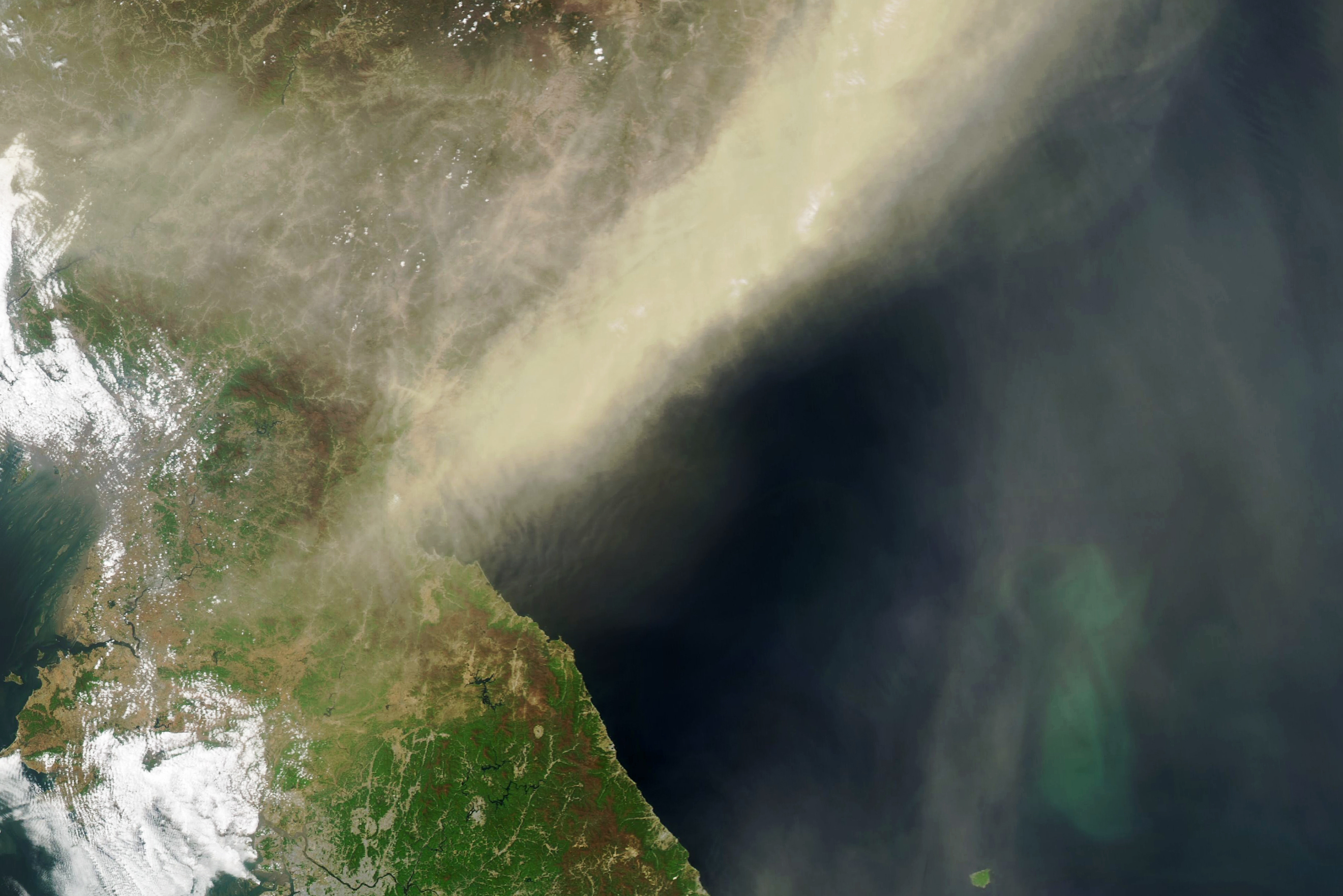 The Korean peninsula (left) shows a beige dust partially obscuring the East Coast of North Korea in this satellite image. An vertically oblong phytoplankton bloom occupies the lower third on the right in the sea of Japan, which is otherwise a dark blue, it is partially obscured by dust.