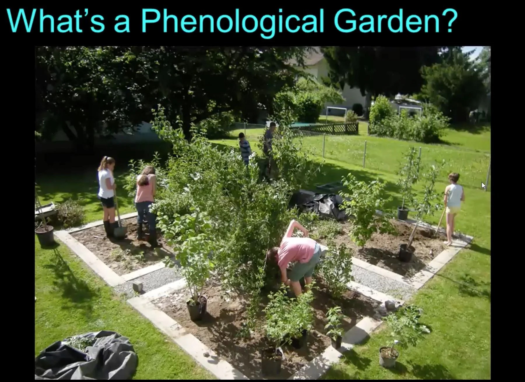 Students working on a four-square phenological garden.