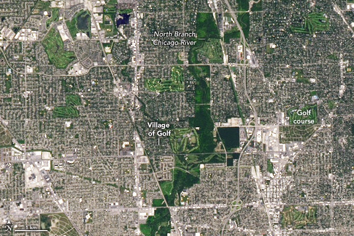 Amidst city gridded streets a vertical path of green foliage around the Chicago river interrupts the gray of city streets. Additional green spaces show up within the city sporadically, most, clearly golf courses. Two in the upper left, two adjacent to the river path and three to the right of that, spread apart evenly.