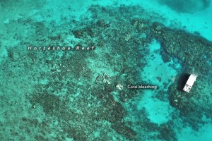 clear bright blue waters are shown, a white boat on the right. a whiter spot under water is highlighted as a coral bleaching among the greater horseshoe reef.