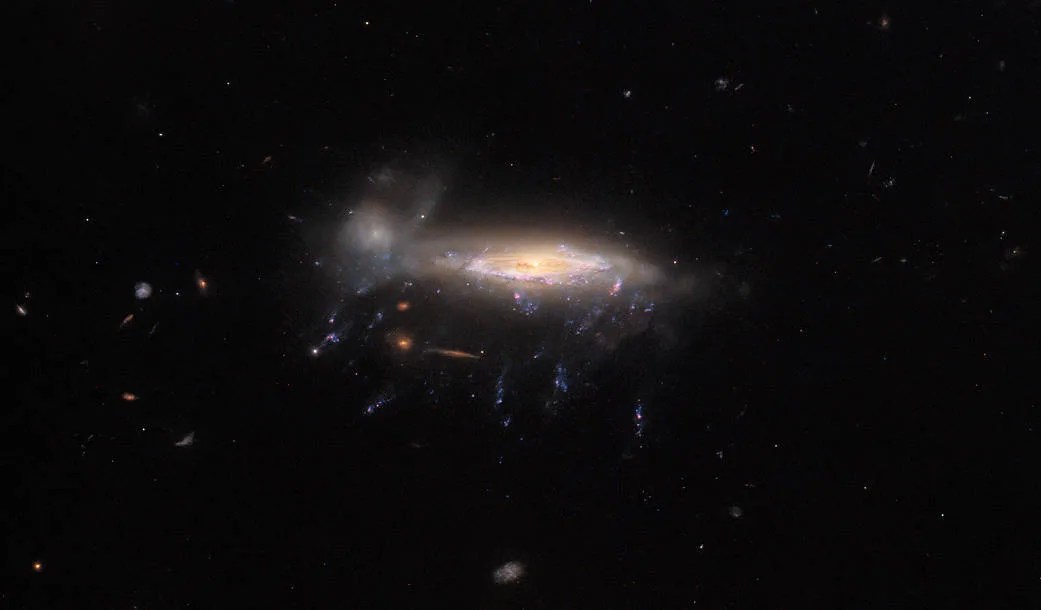 A spiral galaxy in the center is tilted almost edge-on. The bright core and spiral arms can just be seen from the top. A slight glow surrounds it. Below, strands made of bright blue patches trail down like tentacles. On the left it is just touched by a second, faint and dim galaxy. The background is very dark, with only a few other stars and tiny galaxies visible.