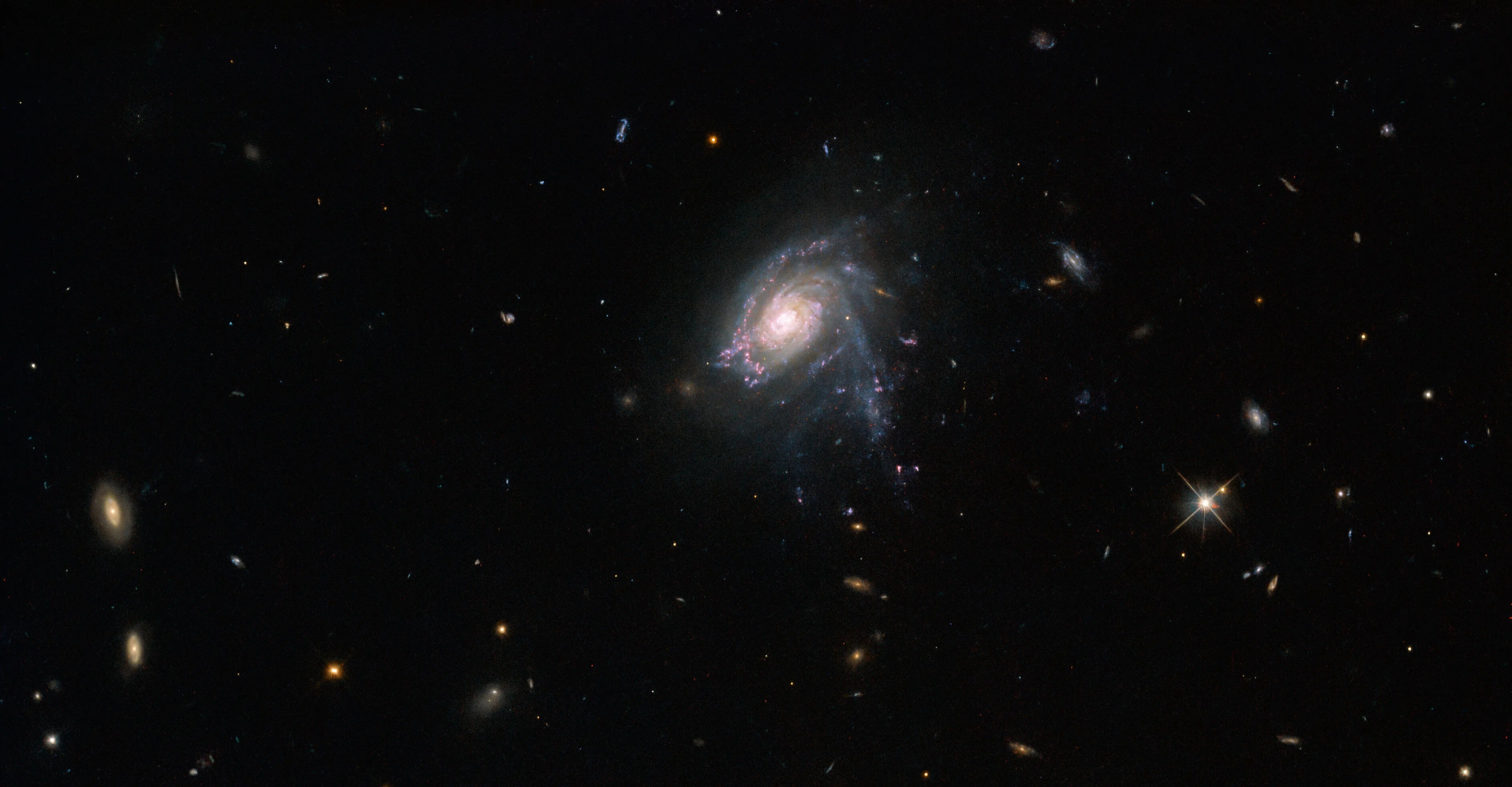 A spiral galaxy. Its spiral arms are studded with many pink spots, especially around the top of the galaxy. One arm is sticking out below the galaxy. From it and around the bottom of the galaxy, faint gas streams away, while little gas is visible above the galaxy. The galaxy is quite small in the center of a dark background, where a few smaller galaxies of various shapes and sizes hang.
