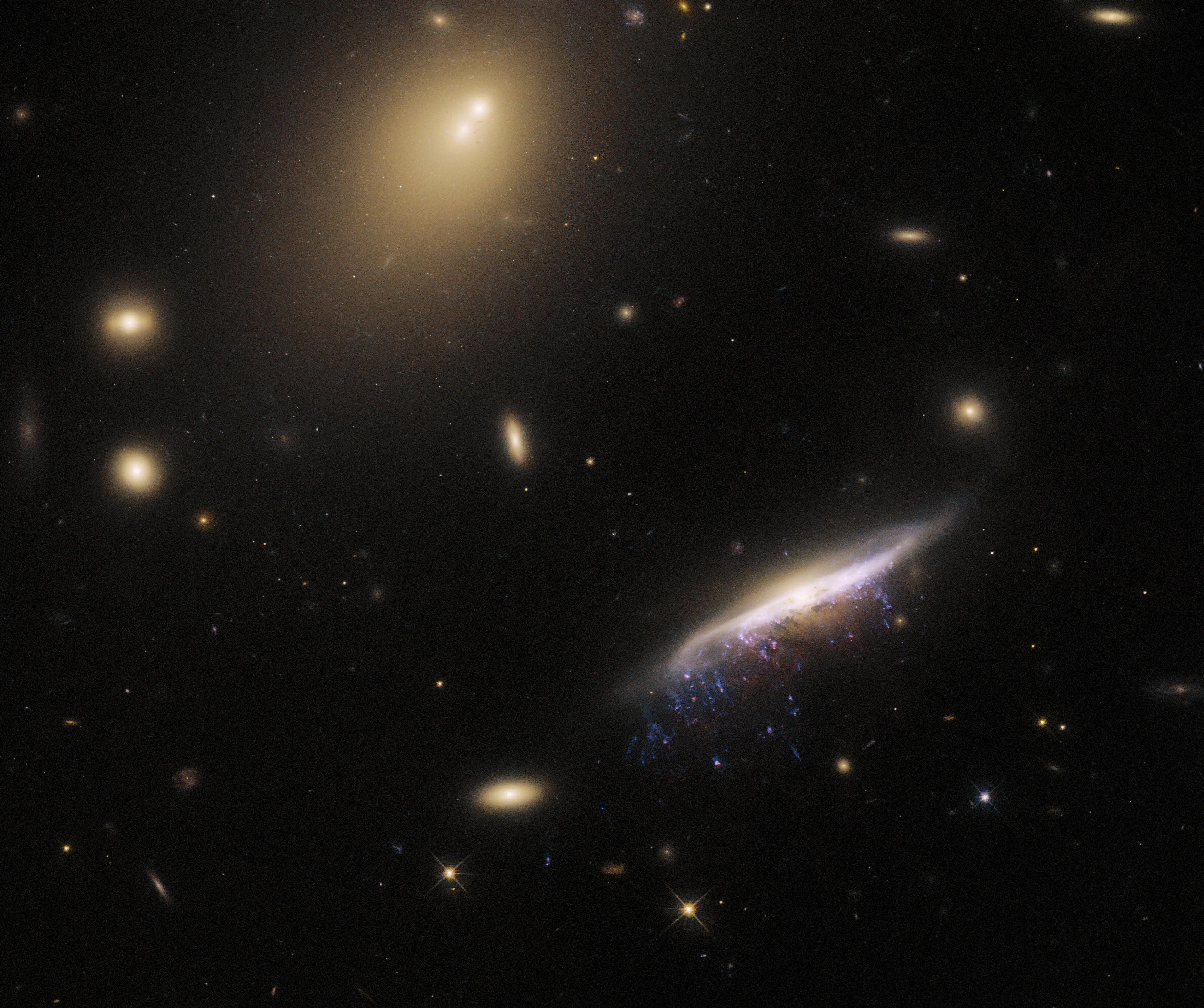 A thin spiral galaxy is seen edge-on in the lower right. Its bulge and arms are very bright, mixing reddish and bluish light. Patchy blue trails extend below it, resembling tentacles, made from star-forming regions. Six small, reddish elliptical galaxies are scattered around. A very large elliptical galaxy with two cores sits by the top of the frame.