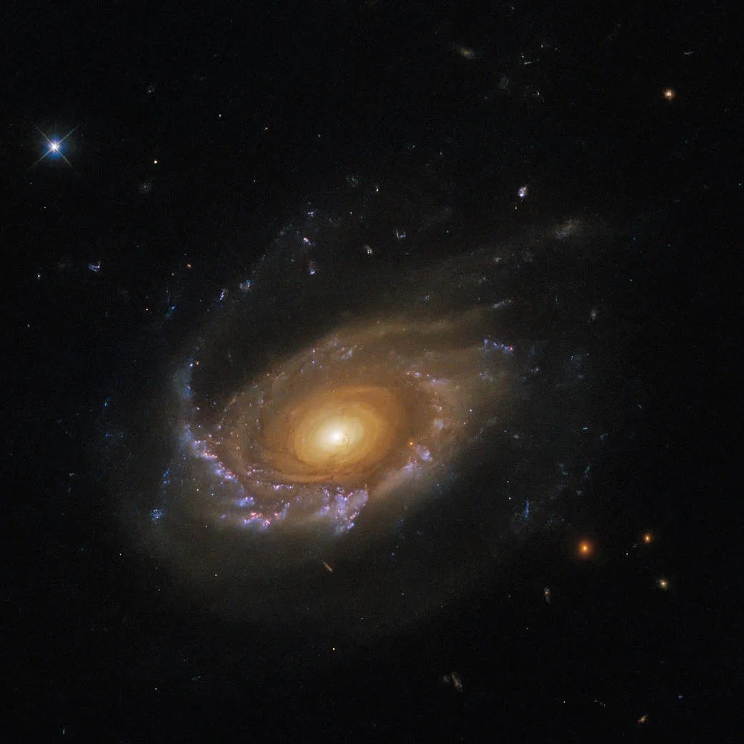 A spiral galaxy. It is large in the center with a lot of detail visible. The core glows brightly and is surrounded by concentric rings of dark and light dust. The spiral arms are thick and puffy with grey dust and glowing blue areas of star formation. They wrap around the galaxy to form a ring. Part of the arm is drawn out into a dark thread above the galaxy, and dust from the arm trails off to the right.