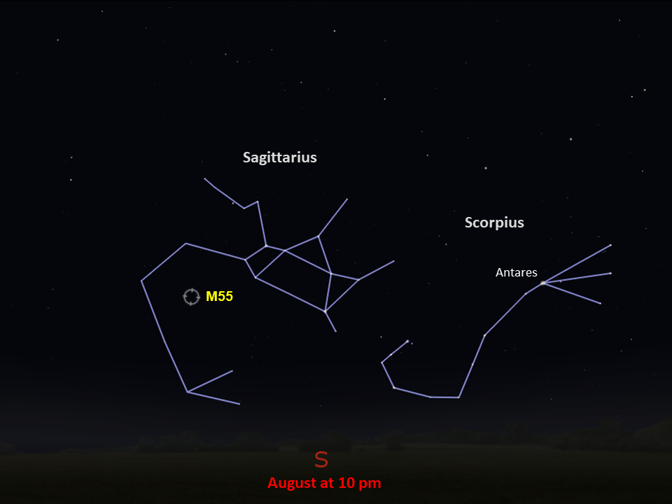 A starchart that shows the location of M55 in the constellation Sagittarius above the southern horizon in August at 10 pm.