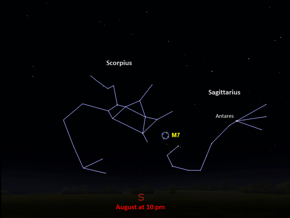 A starchart that shows the location of M7 in the constellation Scorpius above the southern horizon in August at 10 pm.