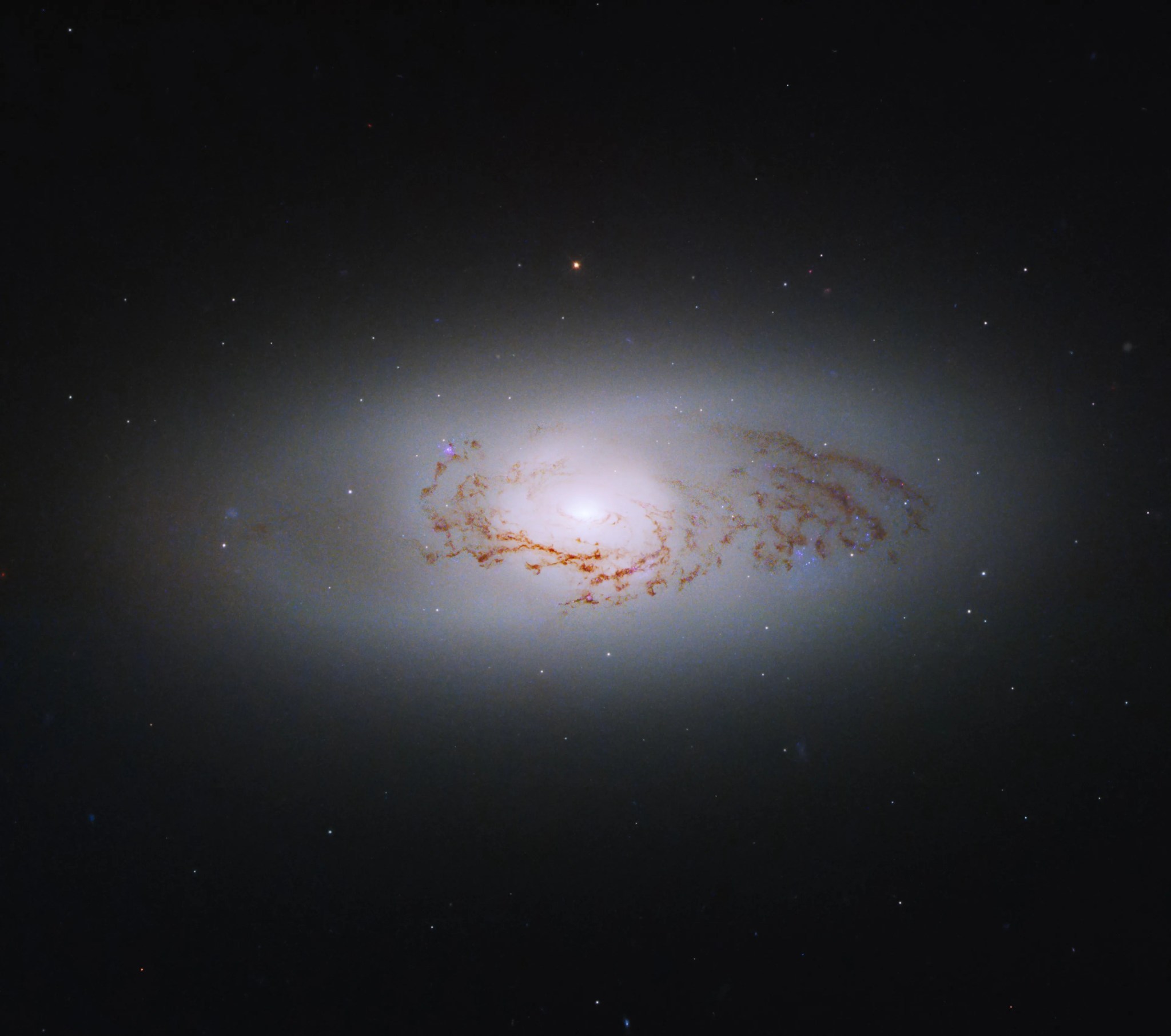 Bright-white galaxy stretching across the center of the frame from left to right. The galaxy's core is brightest at image center. Filaments of reddish-brown gas and dust follow the arc of the galaxy's curve. All on a black background dotted with stars.