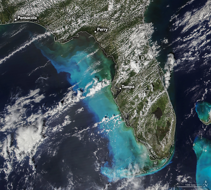 Satellite image of Florida with thin clouds interspersed over the land. The Cities of Pensacola, Perry and Tampa are marked along the Gulf Coast. The nearby Gulf Coast waters appear turquoise as far from the coastline as about half the width of Florida.