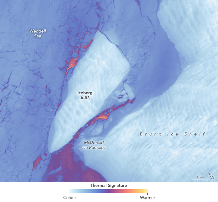 The Antarctic is displayed on a thermal image cooler regions are white to blue, the warmest temperatures are yellow and the neutral color is purple. The Brunt Ice shelf on the right is very cold. The Iceberg A-83 is equally as cool and just offshore from the ice shelf. A couple orange spots peak through near the iceberg, one between it and the McDonald Ice Rumples. At the very bottom of the image the water is primarily purple. The remainder of the Weddell sea is comprised of sea-ice and appears a darker shade of blue.