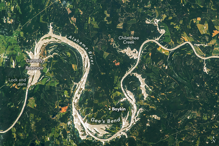 The meandering Alabama river spans the image in a bright champagne color contrasts from the dark surrounding vegetation. There is a Lock and Dam along the leftmost section of the river. Dannelly Reservoir is just above the dam. The river loops down and at the bottom center of the image Gee's Bend, just below the town of Boykin, shows water extending into nearby fields. As the river bends back up Chilatchee creek is labelled and flooded.