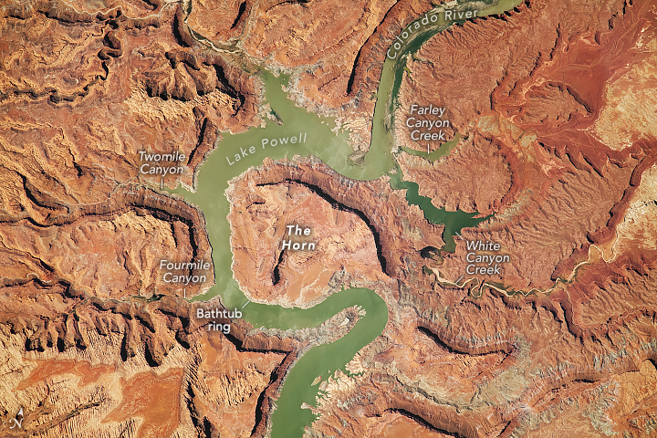 The orange-beige rock in the image with the meandering Lake Powell moving around the center of the very center of the image where the large rock formation, "The Horn," appears. The image shows numerous canyons on all sides, also snaking their way down to Lake Powell.