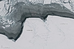 A scientist spotted a jade hue in the sea ice fastened to the coast of East Antarctica.