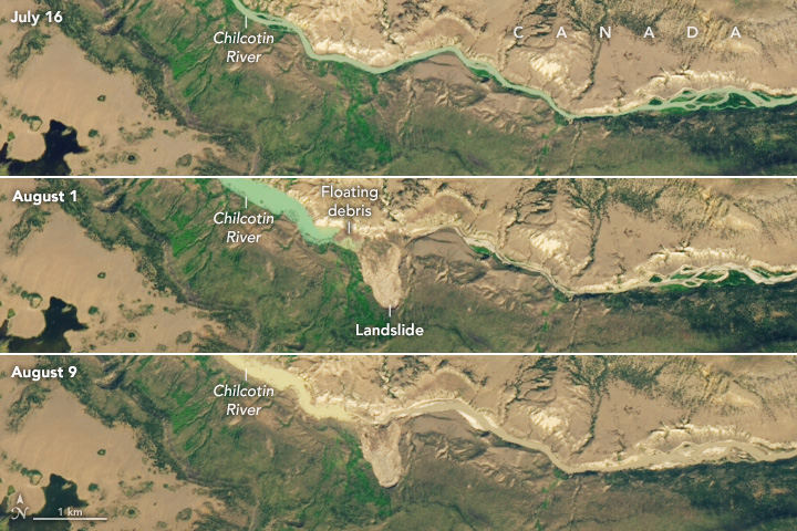 Three images of the same section of land are stitched together horizontally. The feature of the images is the Chilcotin River in it's natural state, a narrow seafoam colored water meandering slightly across the landscape, then breaching its banks as it is blocked by a landslide, and eventually the landslide giving way, the river very brown with sediment and the width of the river between the first two as it returns to equilibrium.