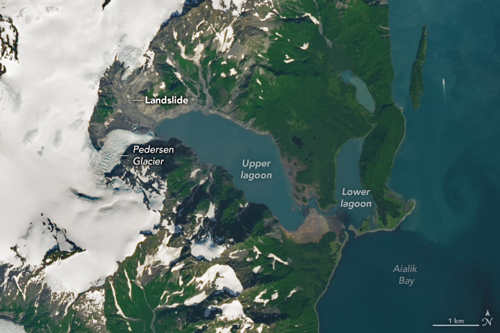 Snow covered land dominates the left side of the image with the Pedersen glacier highlighted, descending into a lagoon in the center of the image. The lagoon meets open waters on the right. Just above the Pedersen Glacier is the highlighted muddy colored path up to the ice pack toward the top of the image where a Landslide took place. The middle of the image, dotted with snow coverage compared to the left, is primarily covered in deep green foliage.