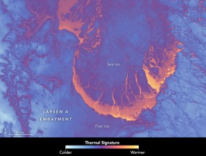At the bottom of the mosaic, the Larsen C Ice Shelf is a uniform, cold (light blue) expanse. Under clear-sky conditions, flat snow and ice surfaces radiate heat to space, creating a thin, chilled layer of air that pools at the surface and contributes to its cold appearance. In places with more topography, even a calm wind will disrupt this layer and cause surface features to give off a warmer signal. In this way, thermal imagery can map topography in relatively fine detail.