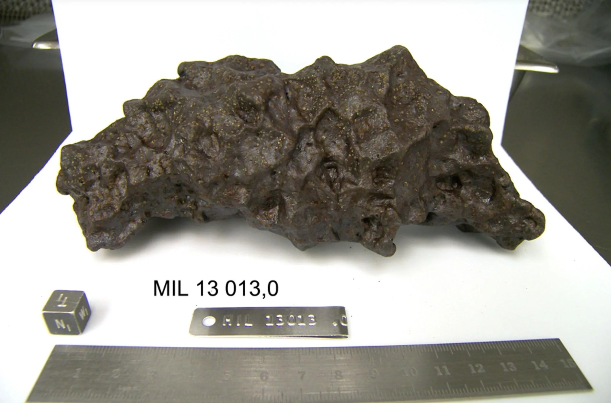 Dark brown, jagged, rectangular meteorite with gold flecks next to a ruler and a text overlay of