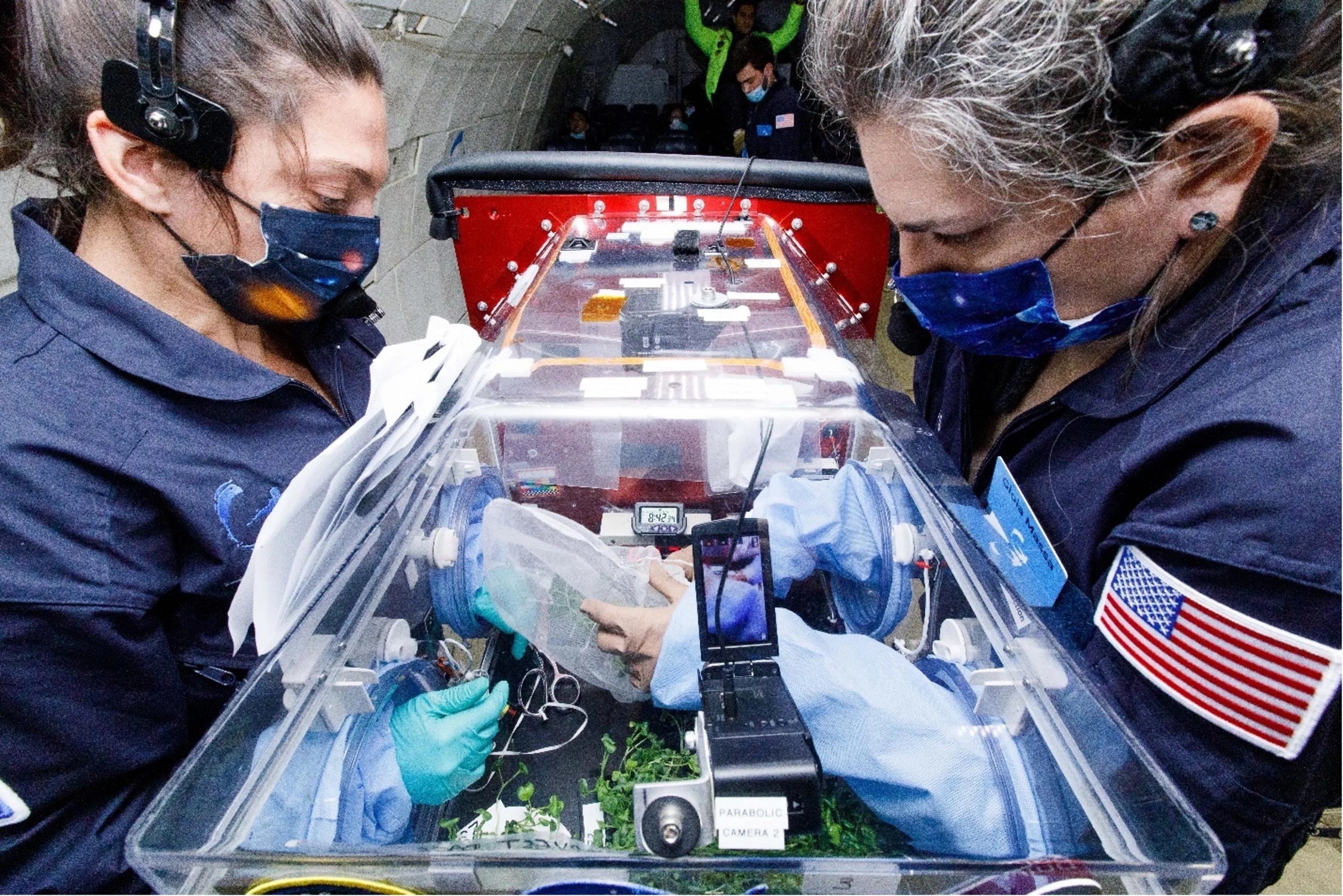 Photo of two female scientists in blue lab uniforms and wearing facemasks while their gloved hands are inserted into a clear chamber with a microgreens experiment.