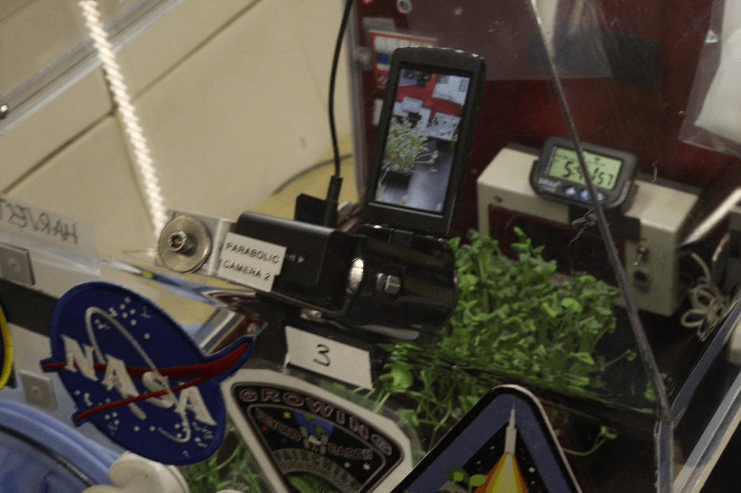 Photo of a clear plastic glovebox with a large NASA logo, the box contains a microgreens experiment, a camera and a timer.