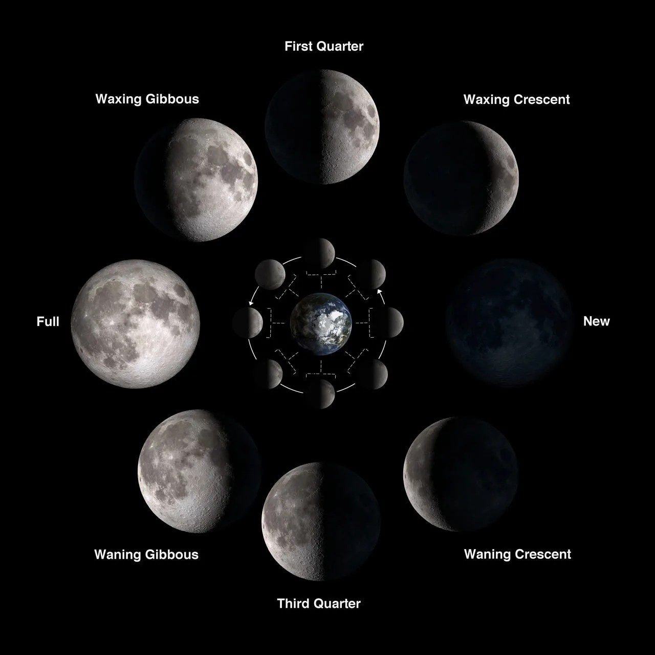 Graphic showing various Moon phases.