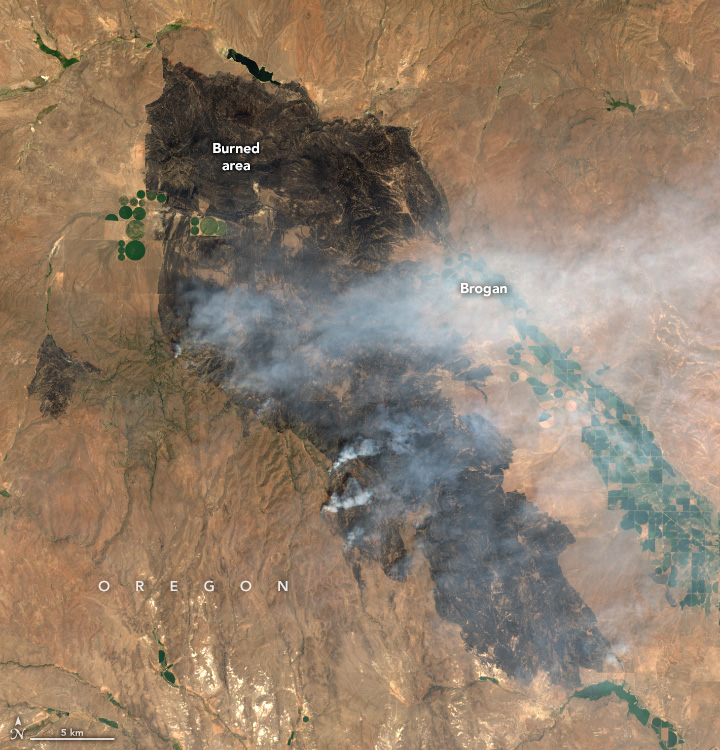 A blackened patch of earth, still emitting some smoke, stretches diagonally across the majority of this image. The land surrounding is primarily light brown, but there are some crop fields toward the upper left of the burn area and to the lower right of the burn, running parallel to the burn region.