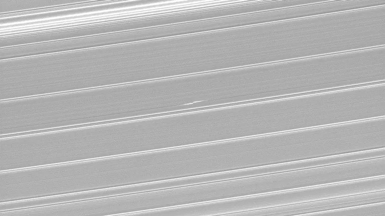 Propeller in Saturn's rings