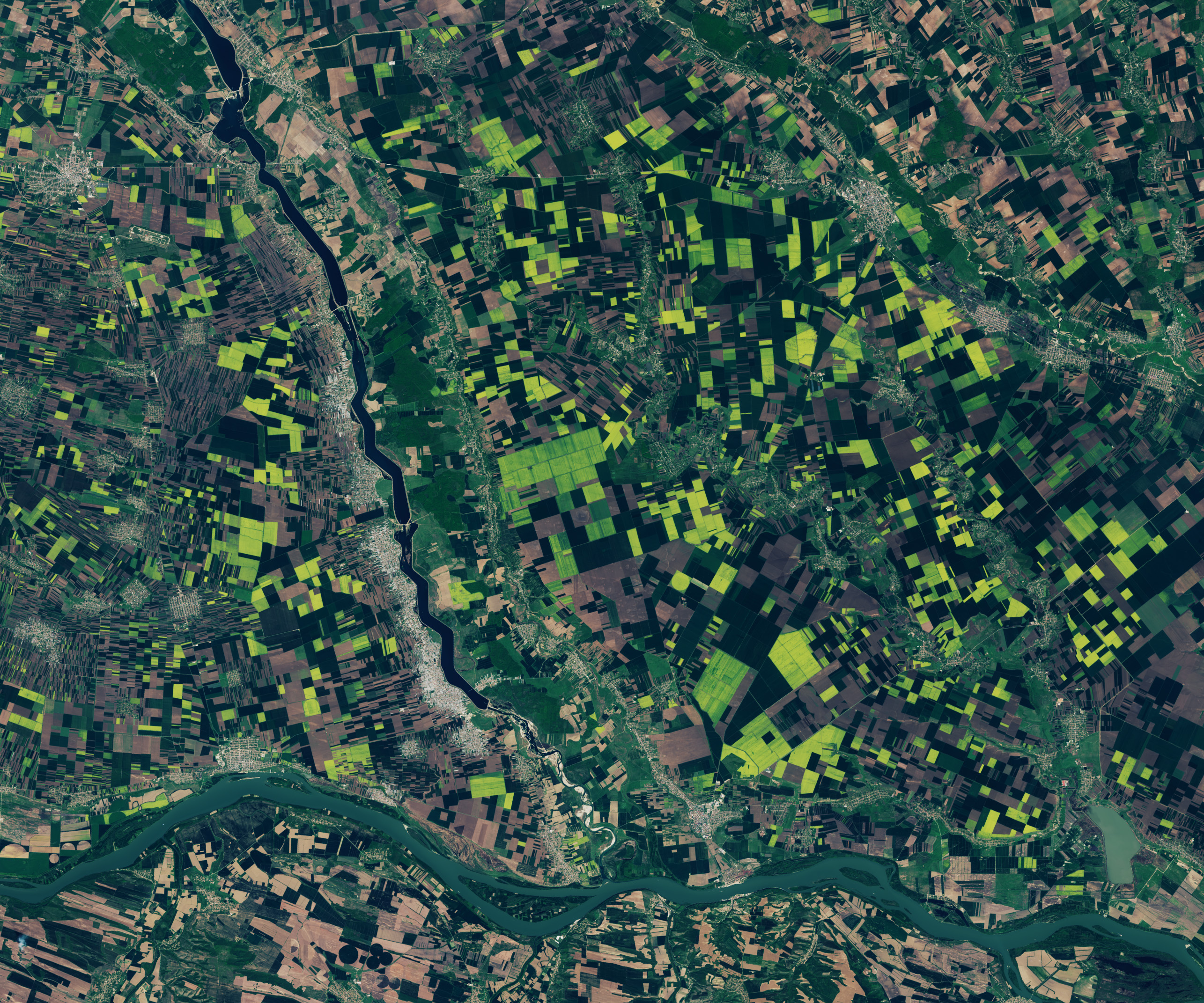 confluence of Olt River with the danube show. Danube is larger, flowing along the bottom of the image, with Olt coming from top left to meet the Danube bottom center. above the Danube numerous field rectangles can be distinguished, covering the landscape. some black, some brown, but many a vibrant green, even tinged yellow.