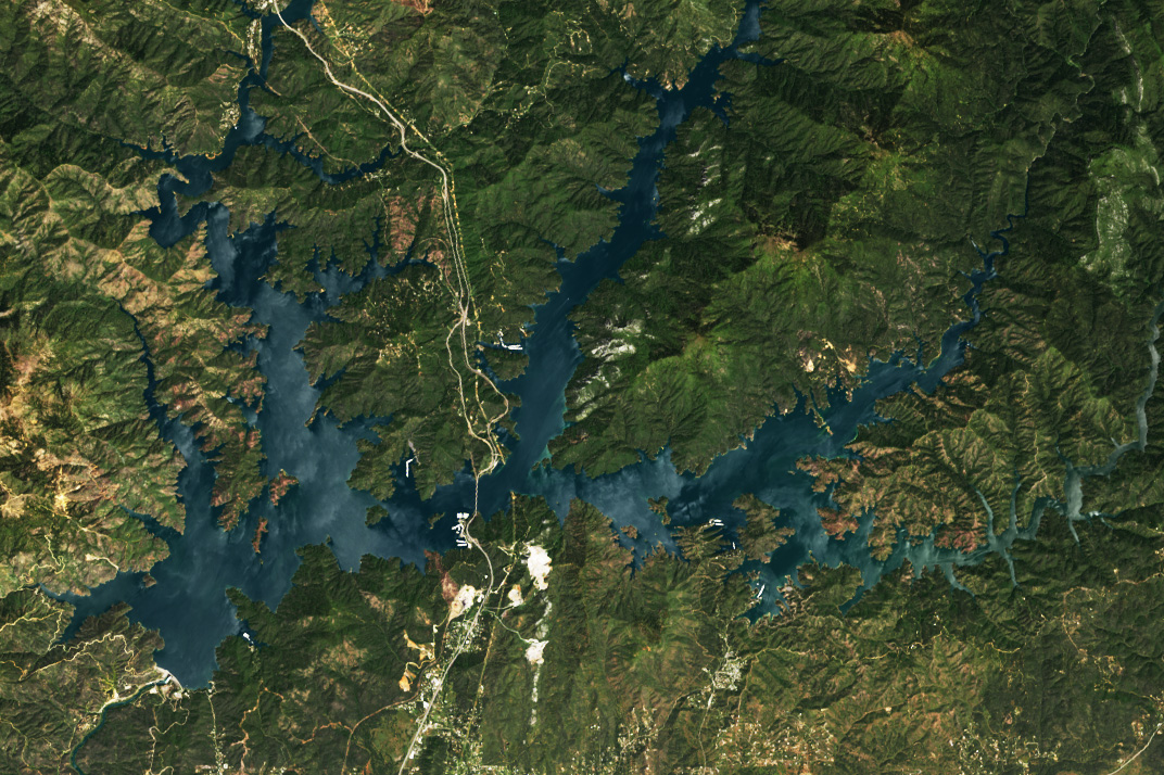 The lush green landscape around Lake Shasta gives way to the numerous flooded valleys that constitute the lake.