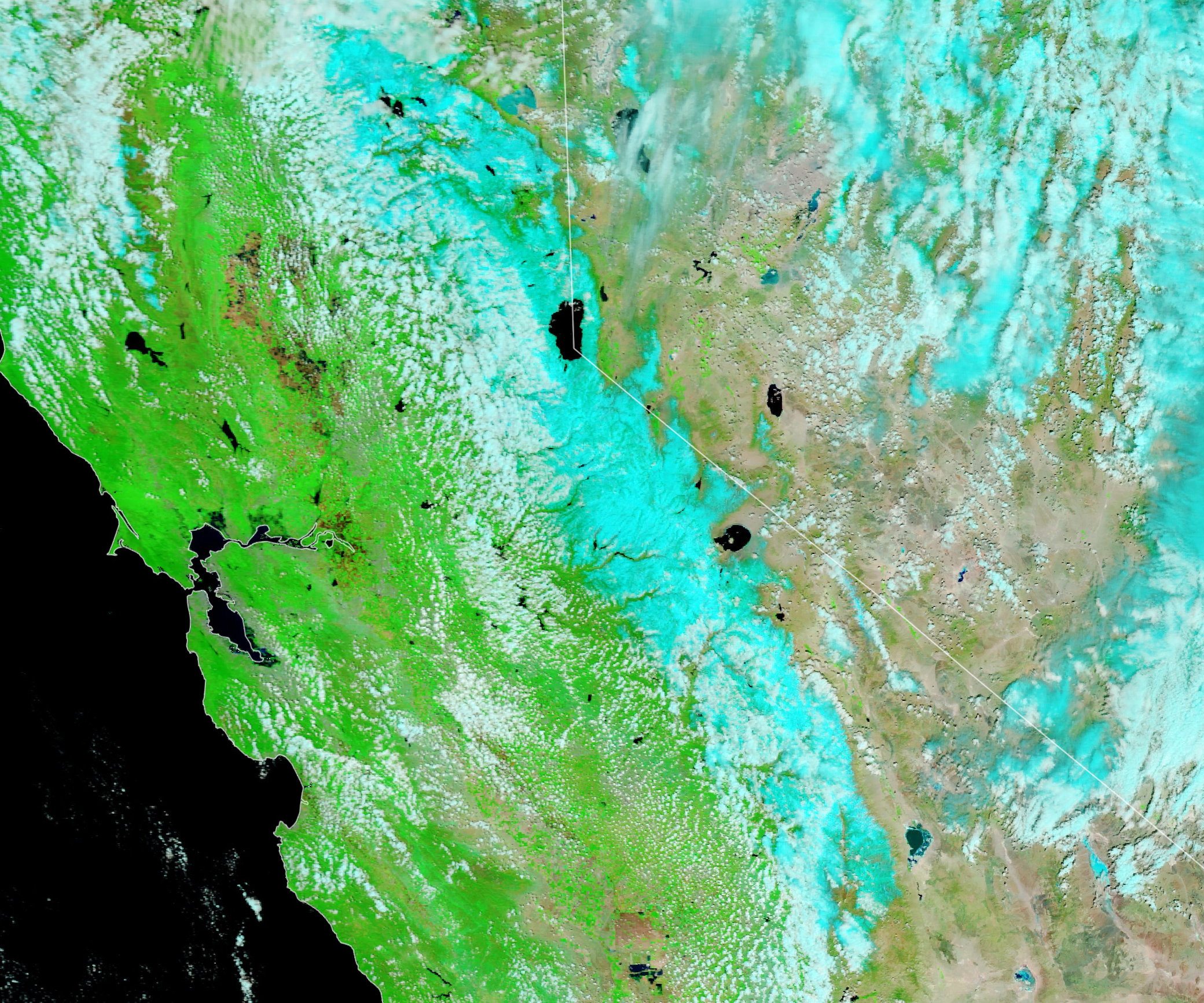 A false color satellite image of California where snow is highlighted light blue. The Eastern portion of the state shows a significant degree of snow coverage and to the west the land is a vibrant green.