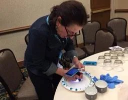 A woman uses the NASA GLOBE Observer Mosquito Habitat Mapper App with a clip-on microscope