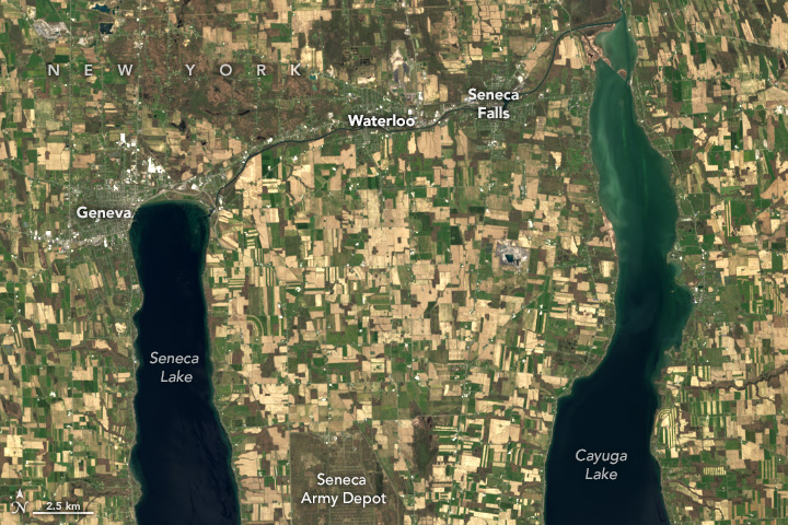 Two dark colored longitudinal lakes break up the landscape of gridded green and brown fields, most likely for farming. Between the two at the bottom of the image is a darker single large square that is the Army Depot. A river connects the two lakes at the top end of them both. Along that river is notable signs of populace concentrations, including Waterloo halfway down the river.