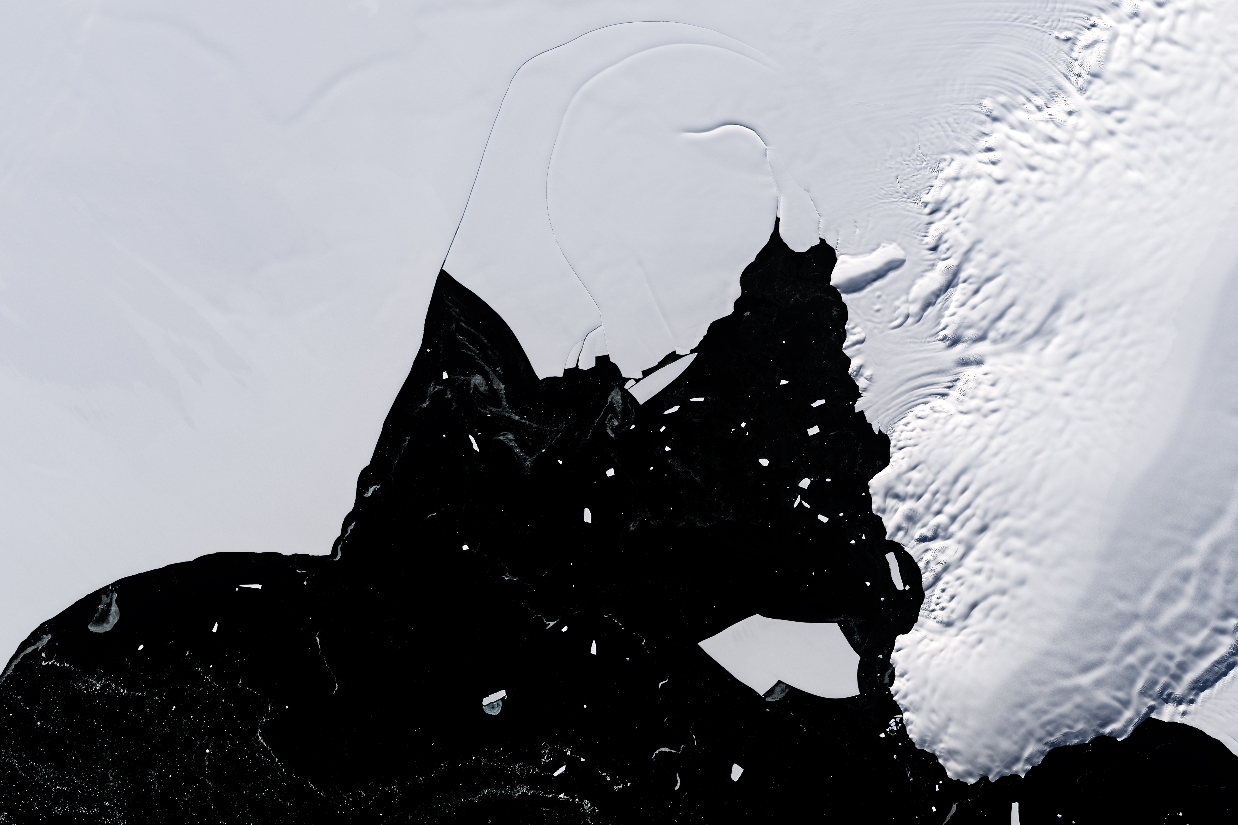 There image is primarily white sea ice with dark ocean at the bottom of the image along with sporadic icebergs. The- feature is the small hole in the Wilkins Ice Shelf that exposes the underlying ocean. This oddity has persisted for decades and is thought to be a rare phenomenon.