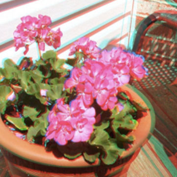 Create Your Own 3D Images