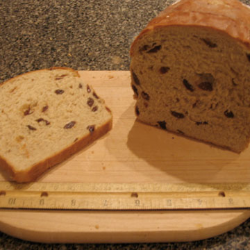 
			Raisin Bread Universe - NASA Science			